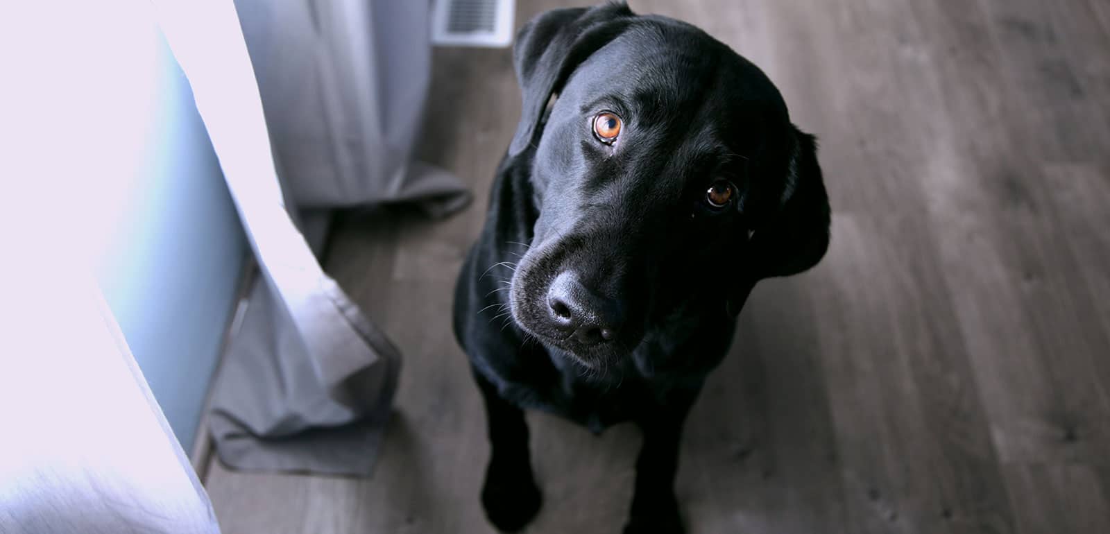 Do I Need A Financial Advisor?